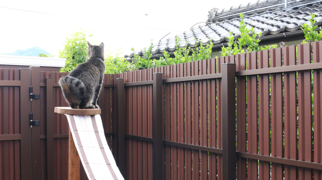 猫もお庭で遊べるんです Colette コレット 山口県 岡山県の外構 エクステリア ガーデンショールーム