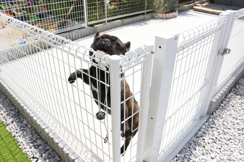 11月22日は〇〇の日！＠山口 | COLETTE（コレット）｜山口県・岡山県の